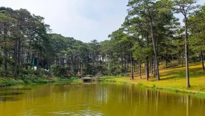 Bcons Lạc Dương