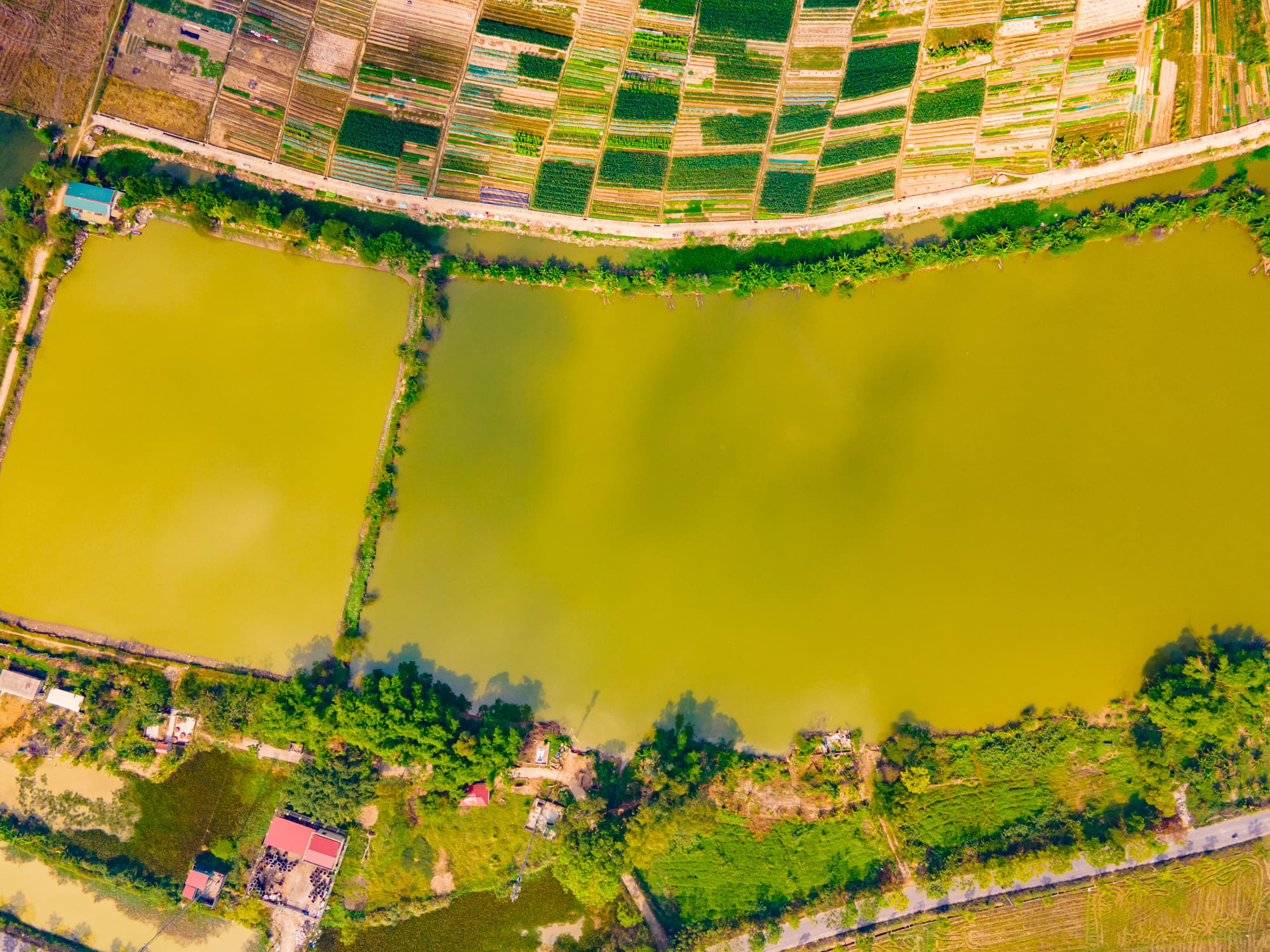 Hiện trạng ao hồ và đất nông nghiệp khu vực dự án Vinhomes Hòa Long Bắc Ninh